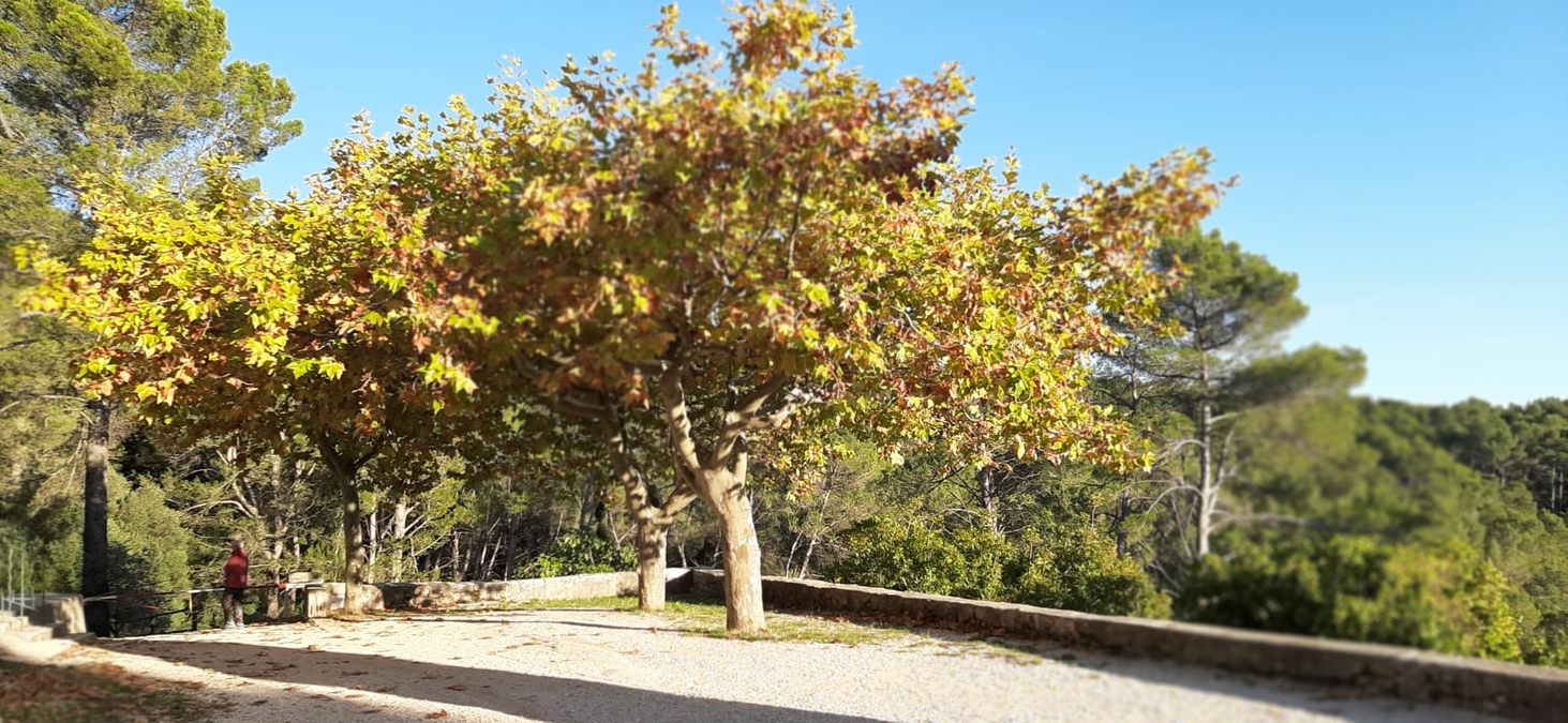 Solliès-Pont, Sainte Christine