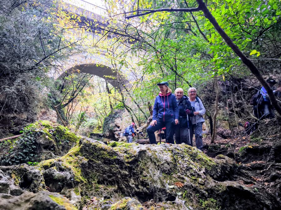 Barjols, Pontevès, les Carmes