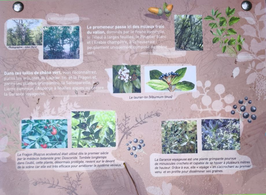 Barjols, Pontevès, les Carmes