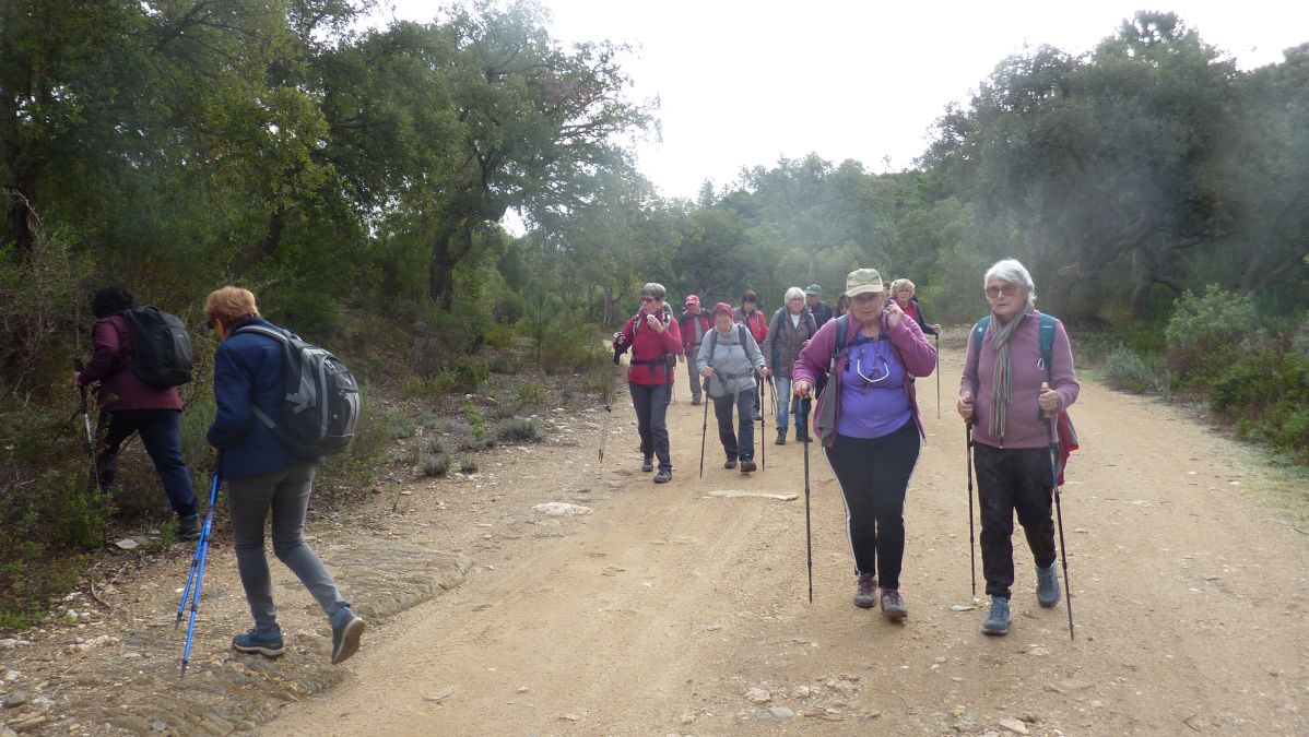 Bormes, les Janets, vallon de la Berle