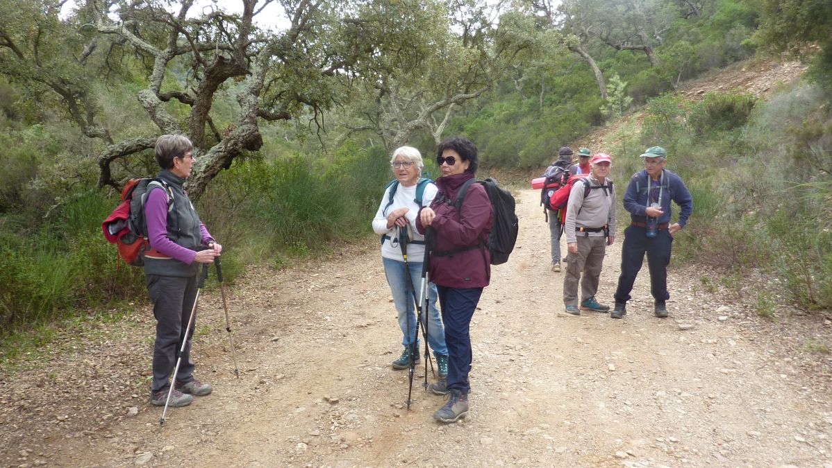 Bormes, les Janets, vallon de la Berle