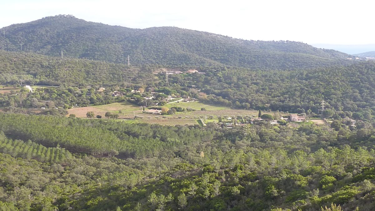 Bormes, les Janets, vallon de la Berle