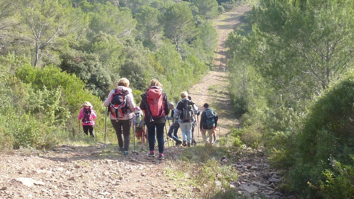 La Navarre, oppidum de la Bouisse