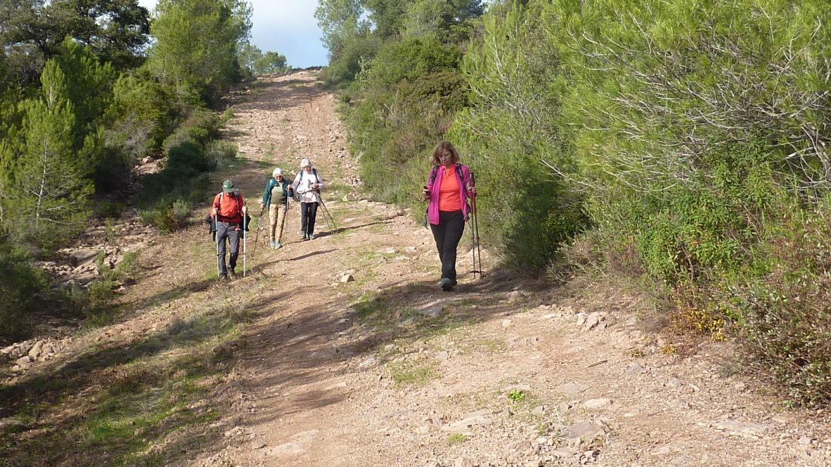 La Navarre, oppidum de la Bouisse