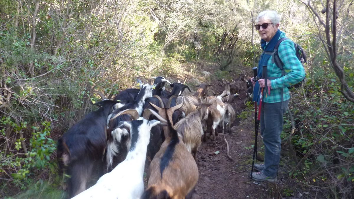 La Navarre, oppidum de la Bouisse