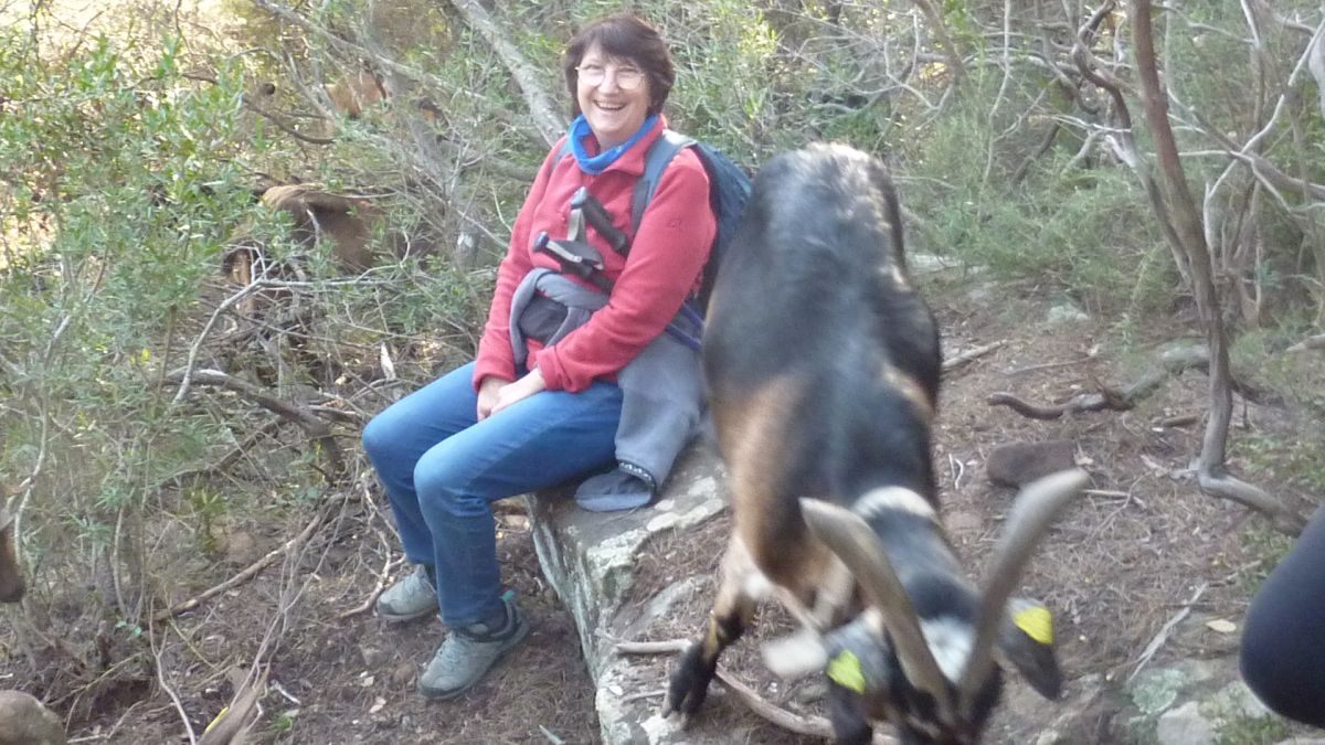 La Navarre, oppidum de la Bouisse