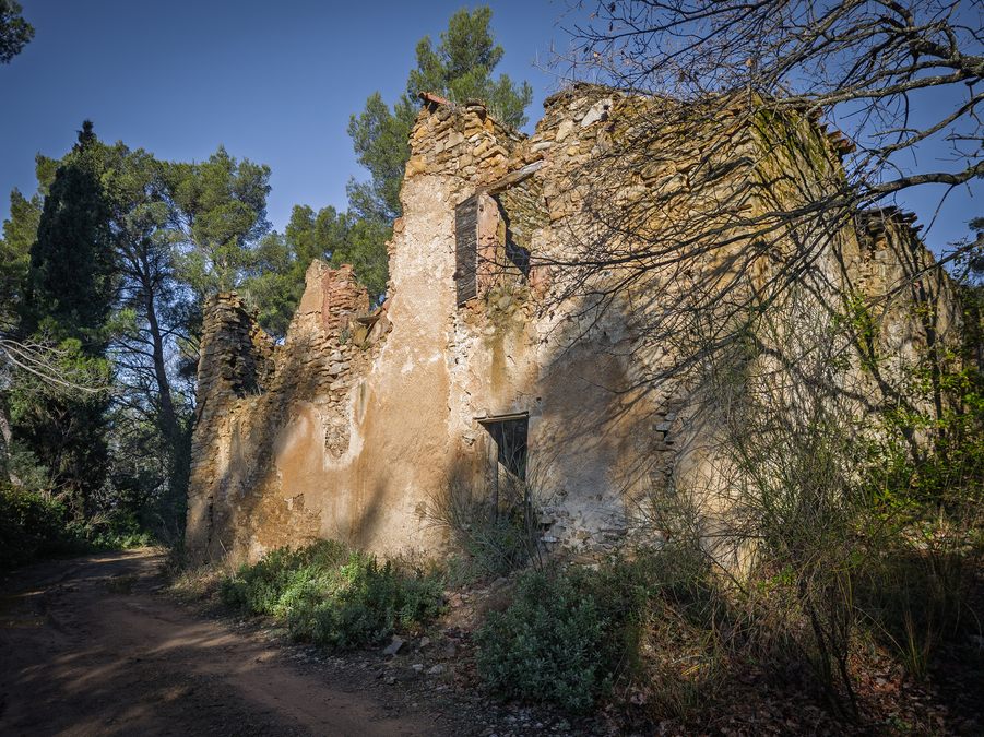 Sainte Anne d’Evenos, tête du vicaire
