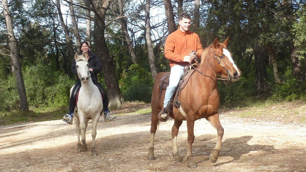 Sainte Anne d’Evenos, tête du vicaire