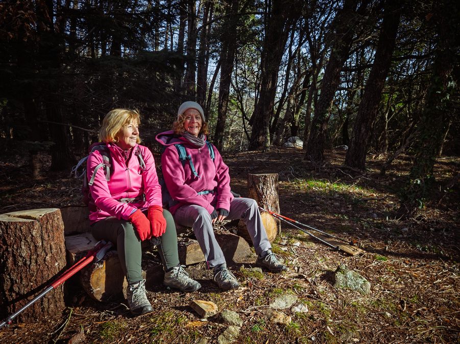 Collobrières, chartreuse de La Verne