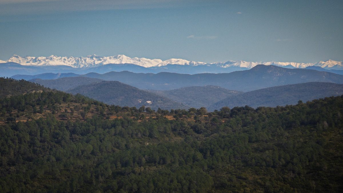 Collobrières, chartreuse de La Verne