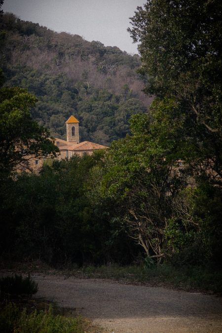 Collobrières, chartreuse de La Verne