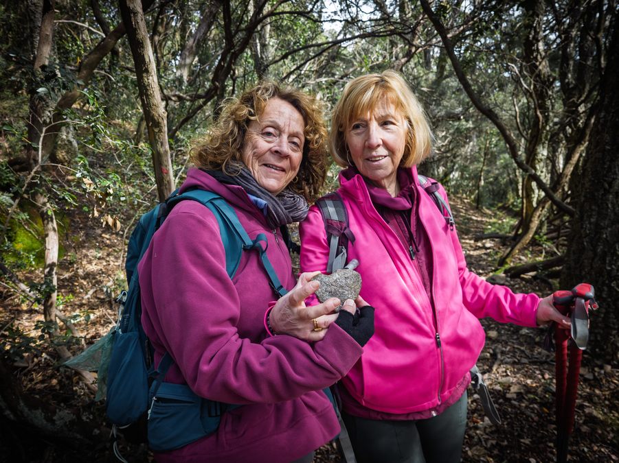 Collobrières, chartreuse de La Verne