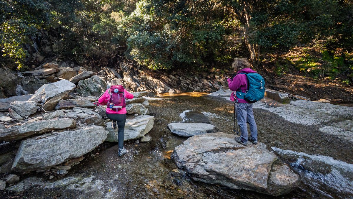 Collobrières, chartreuse de La Verne
