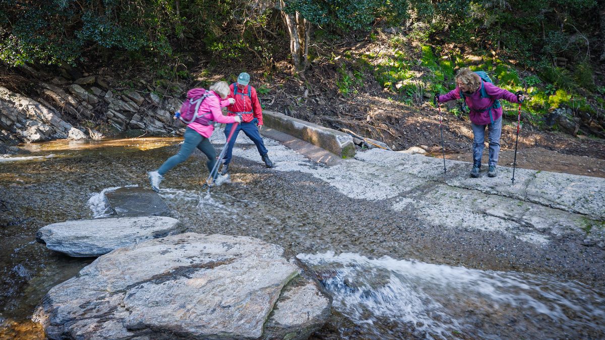 Collobrières, chartreuse de La Verne
