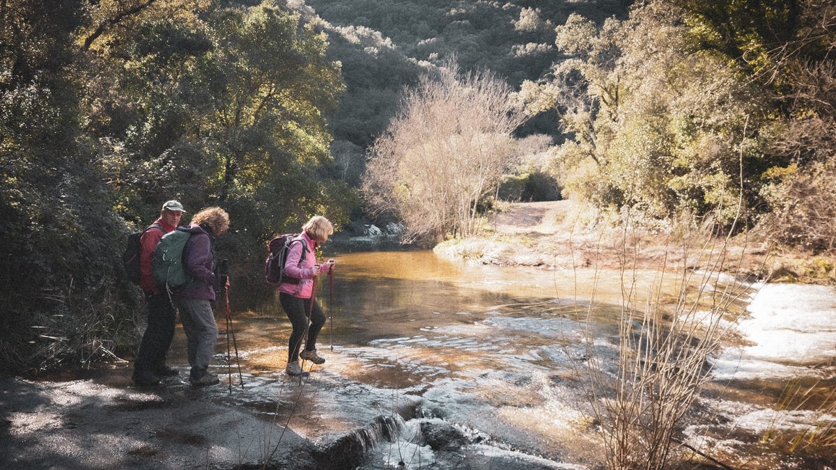Collobrières, chartreuse de La Verne