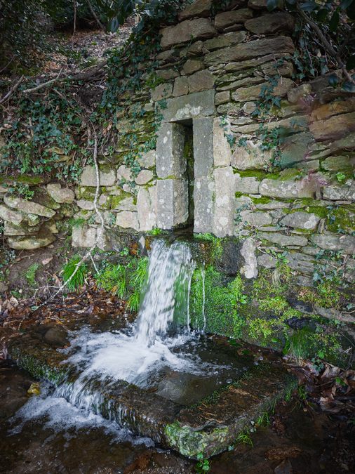 Collobrières, chartreuse de La Verne