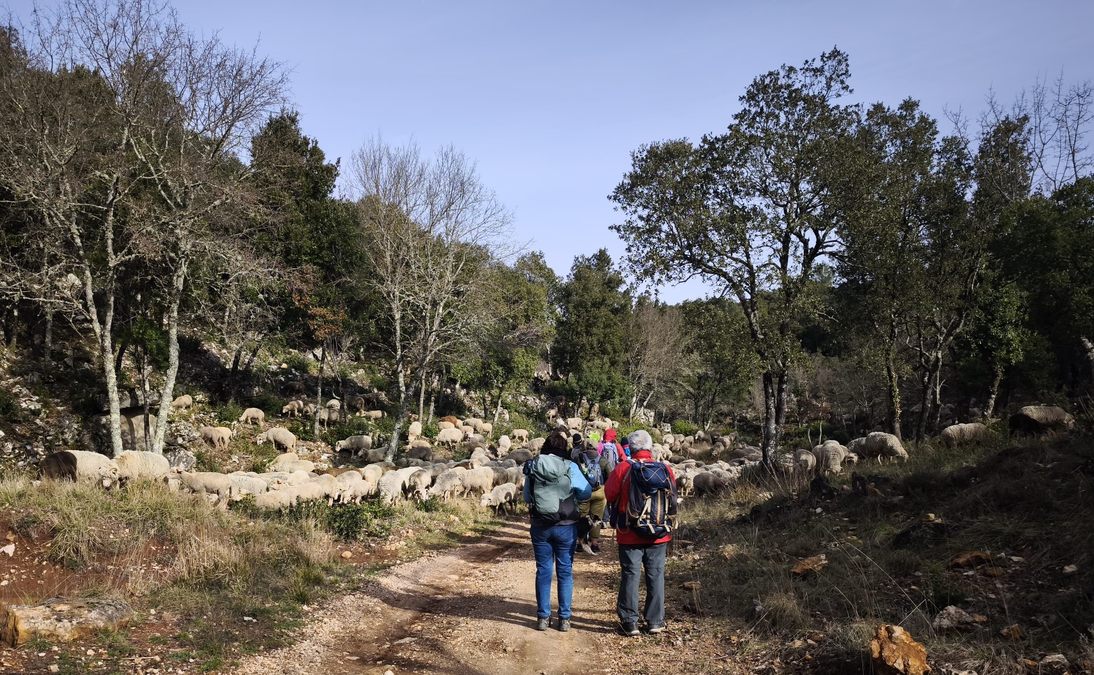 Néoules, clos d’Arbec