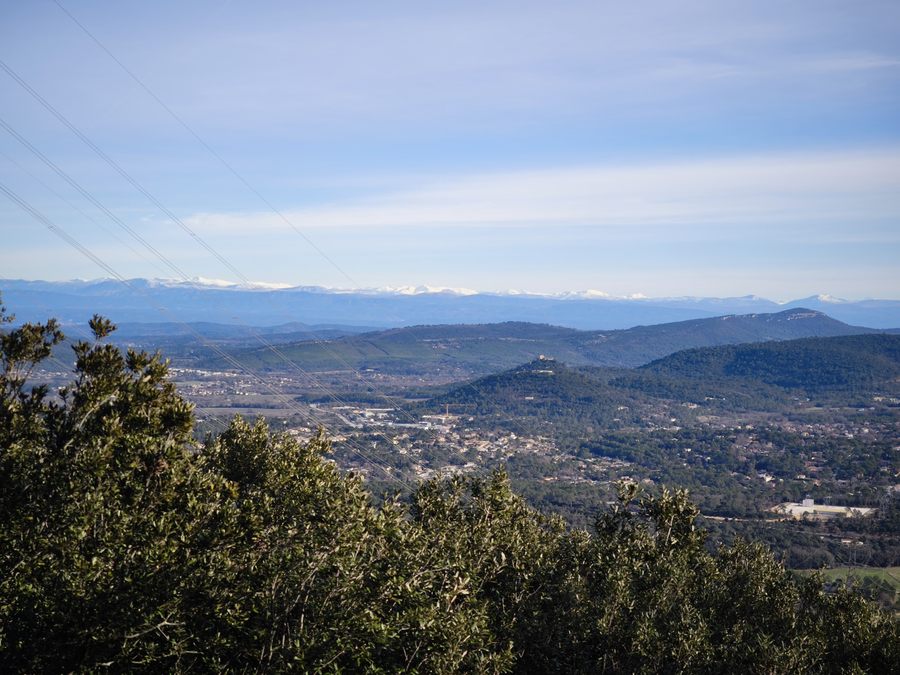 Néoules, clos d’Arbec