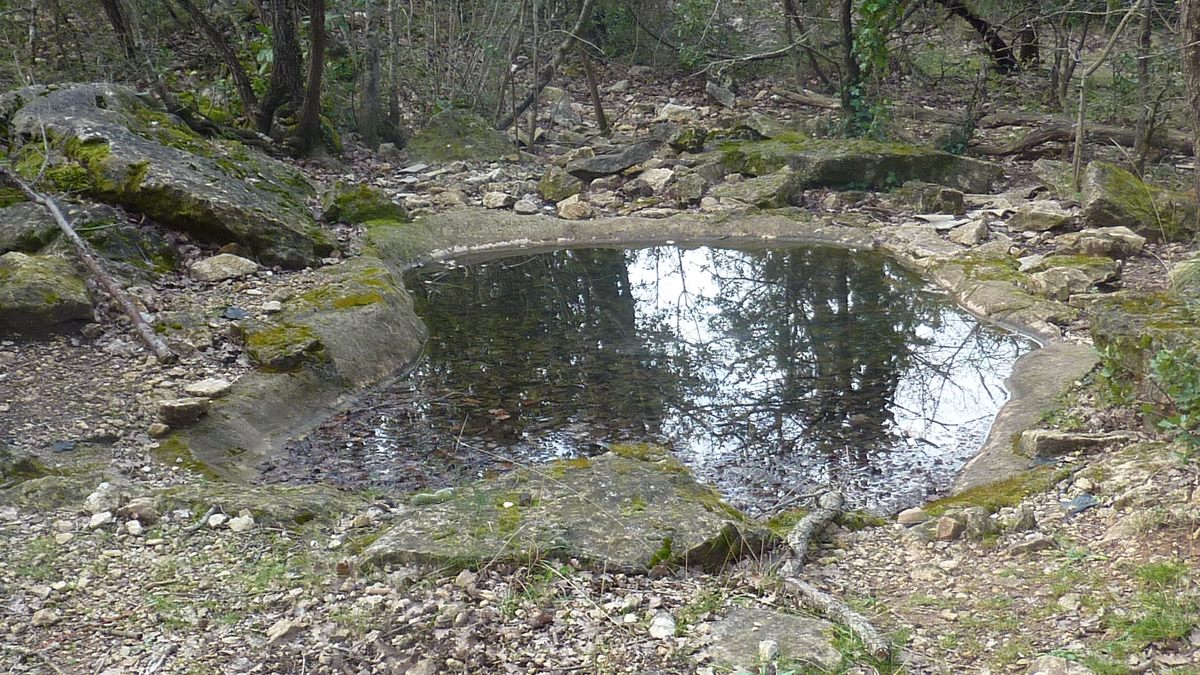 Rocbaron, les Rossignols