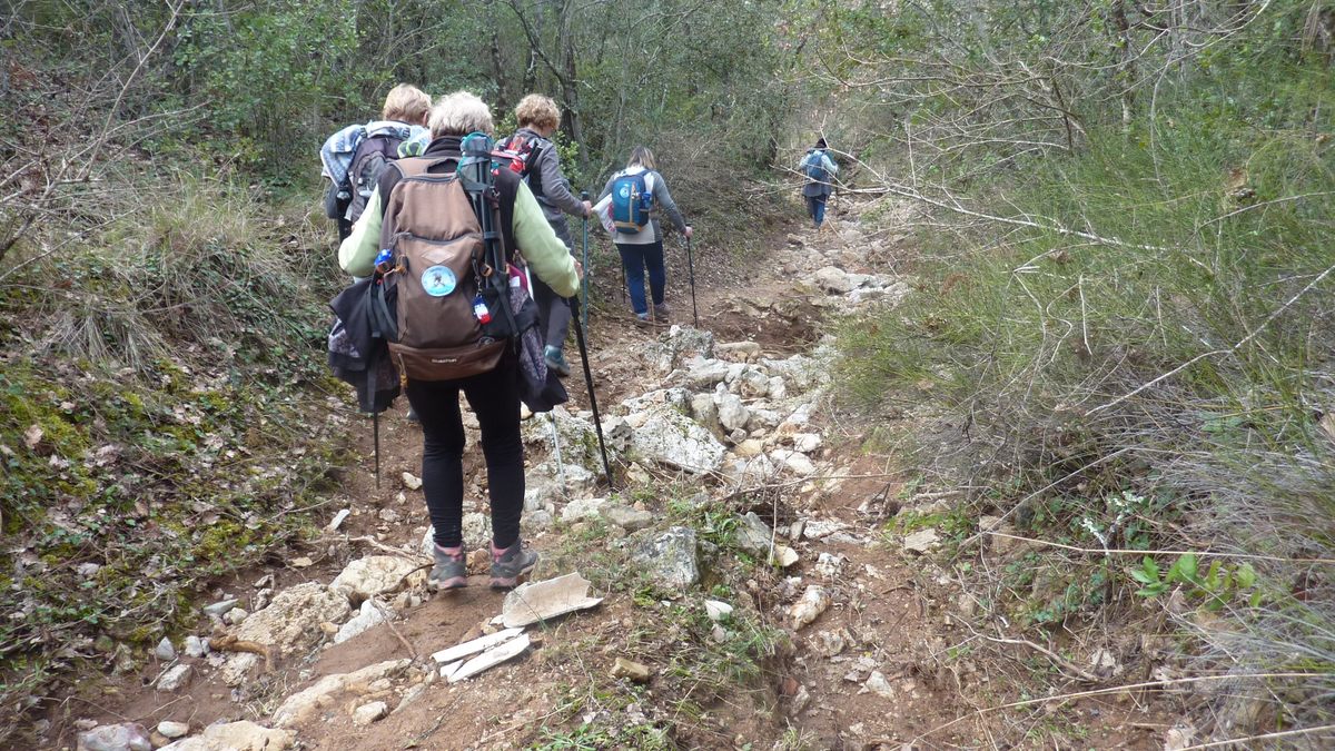 Rocbaron, les Rossignols