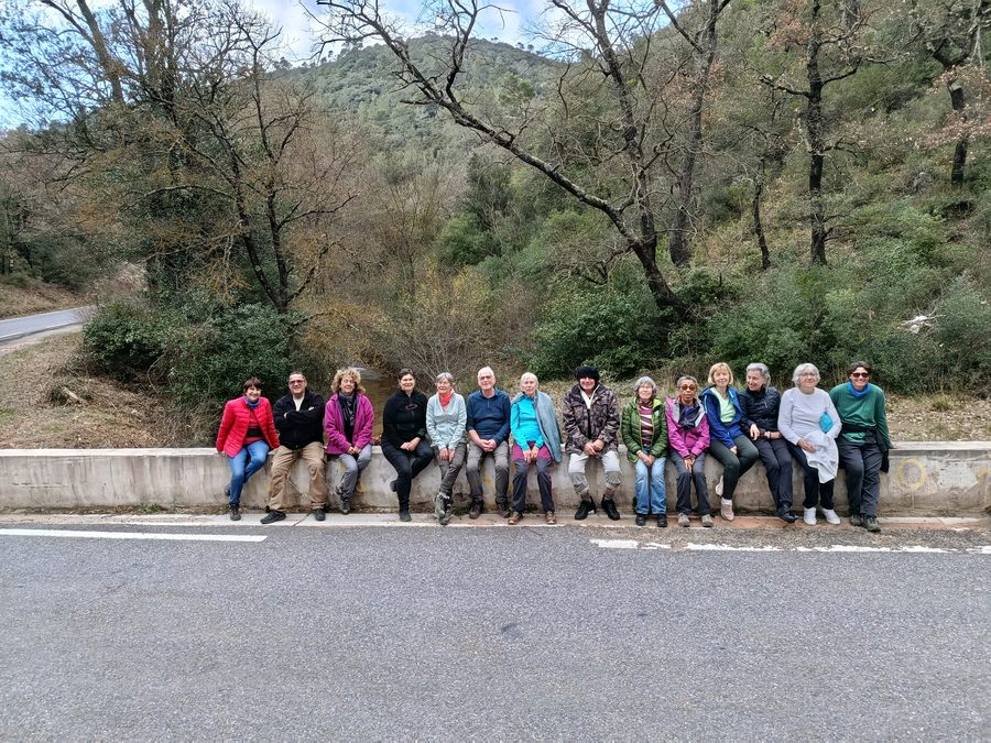 La Roquebrussanne, vallon des cerisiers