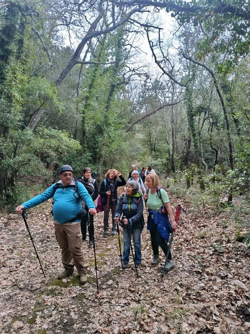 La Roquebrussanne, vallon des cerisiers
