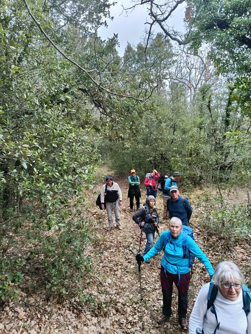 La Roquebrussanne, vallon des cerisiers