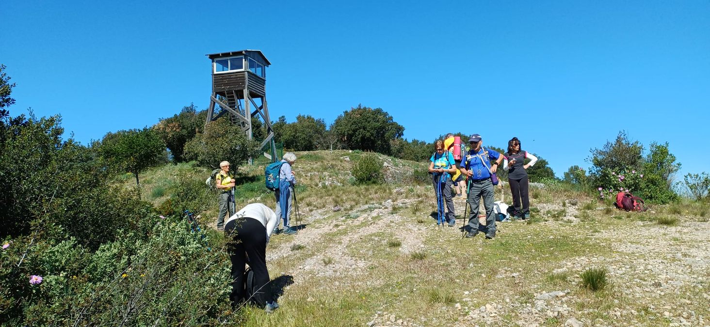 Gonfaron, la Roquette 