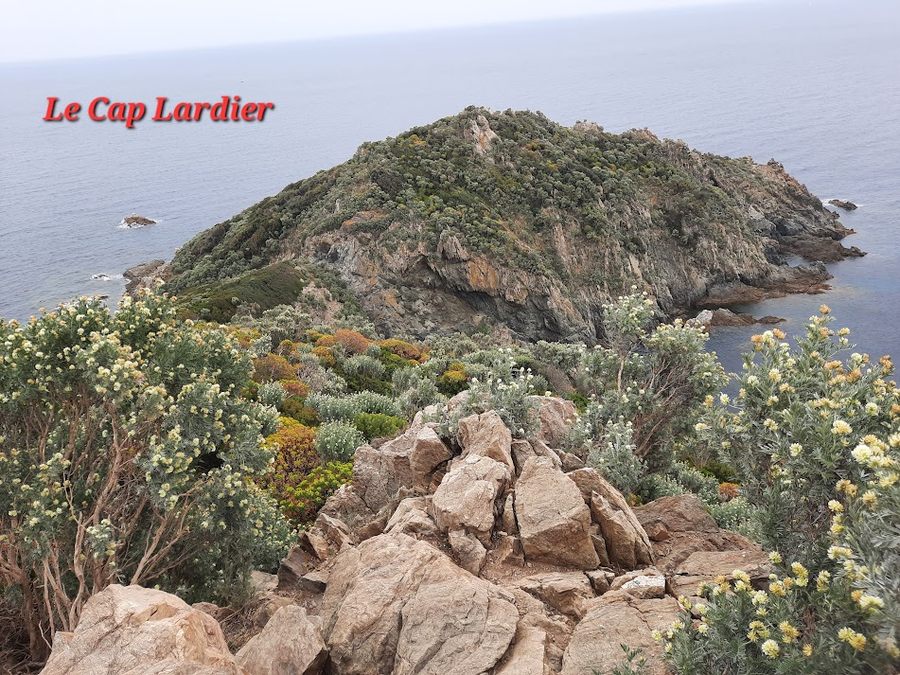 La Croix-Valmers, Cap Lardier et Cap Taillat