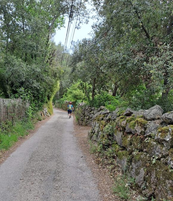 Brignoles, les Dolmens