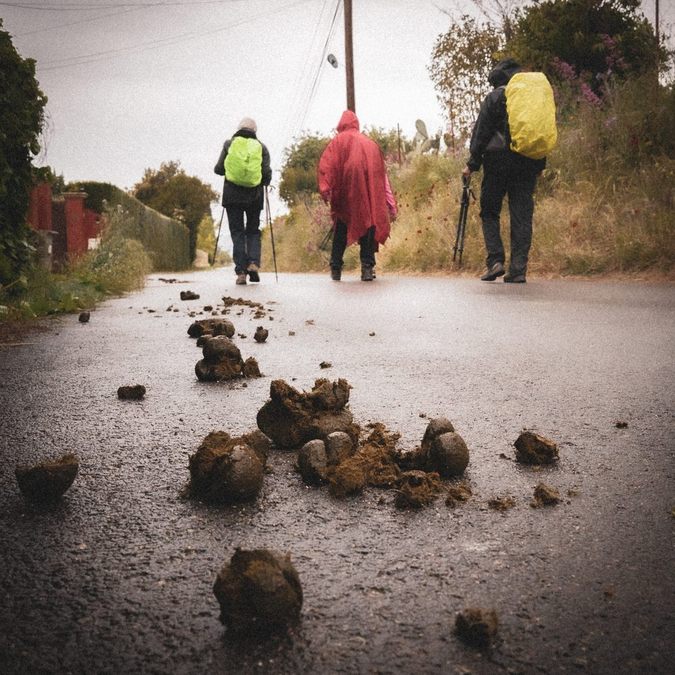 Le Pradet, la Gavaresse