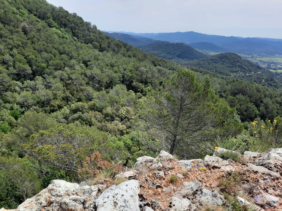 Rocbaron, saint Sauveur