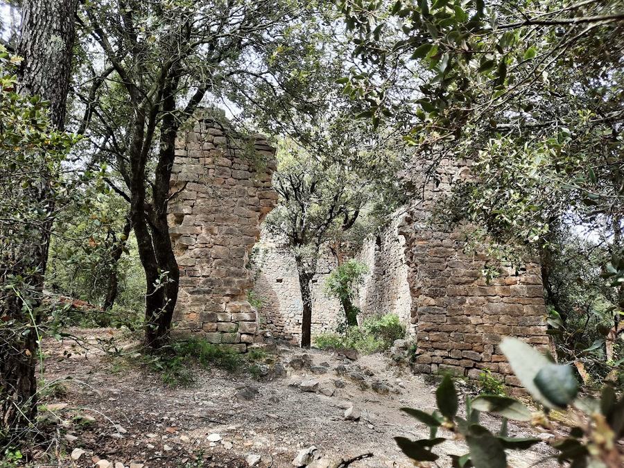 Rocbaron, saint Sauveur