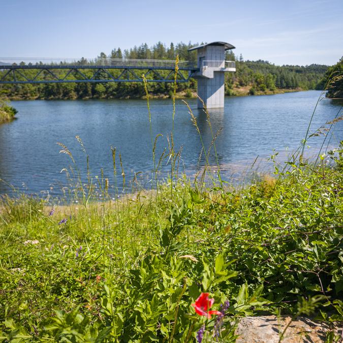 Saint Paul en Forêt, lac de Méaulx