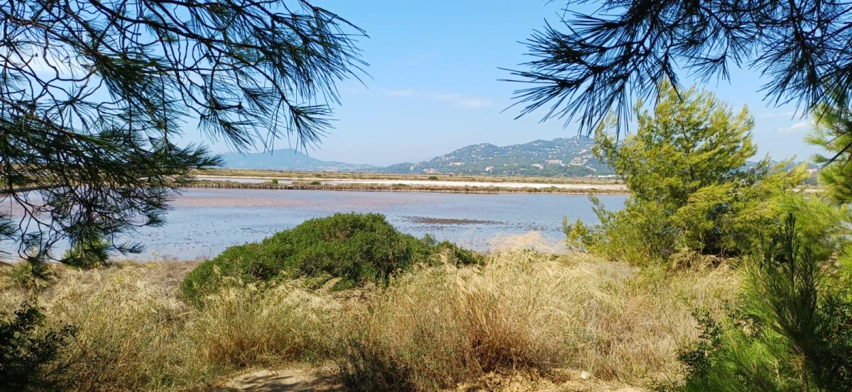 La Capte
